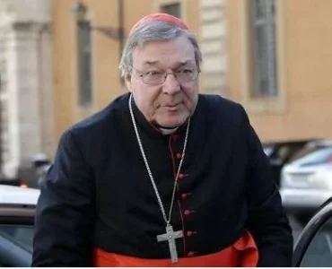 CARDINAL.webp CARDINAL.webp
