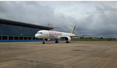 airline.webp airline.webp