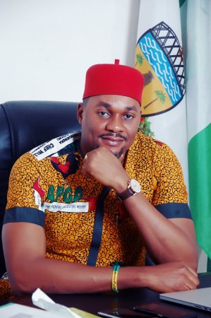 Hon. Ifeanyi Ibezi.jpg