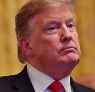 donald.webp