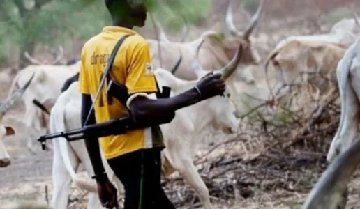 herdsmen.webp
