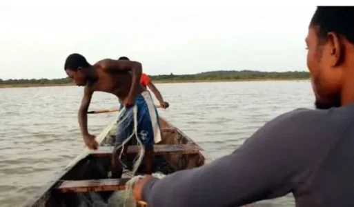 docu.webp