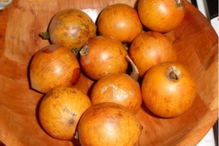 agbalumo.JPG