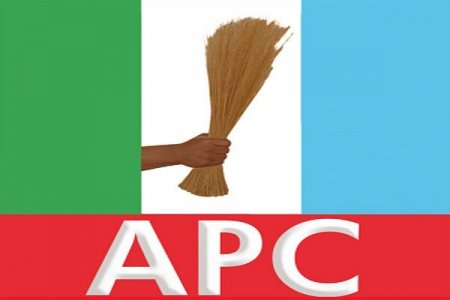 APC-Logo1.jpg