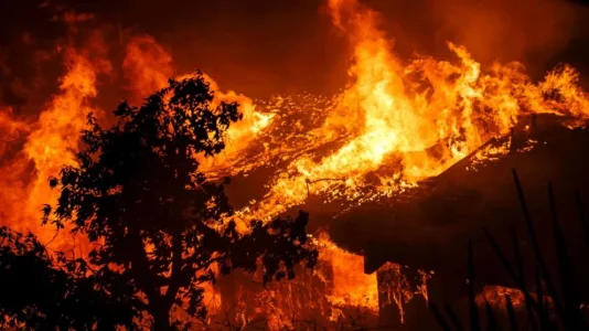 wildfires.webp
