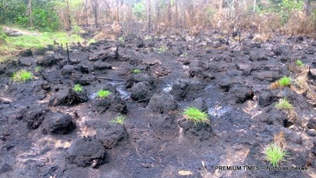 Contaminated Farmland at K-Dere, Ogoni land.jpg