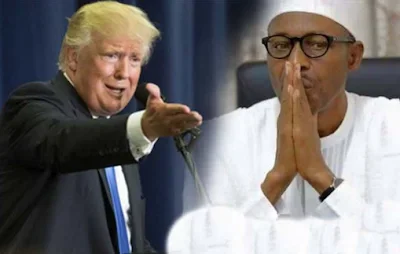 Trump and Buhari.webp