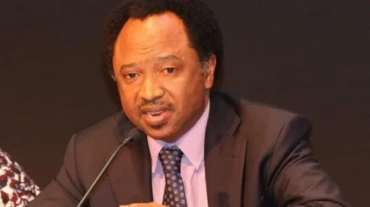 shehu-sani.webp