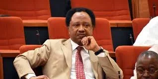 Shehu Sani.webp Shehu Sani.webp