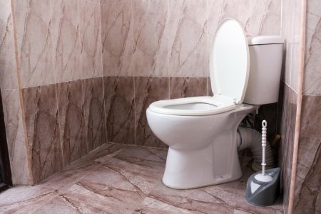 toilet-bowl-in-cubicle-for-foul-smelling-poop.jpg