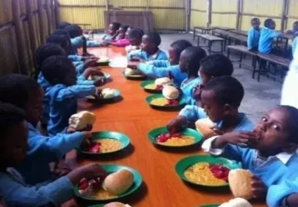 feeding program.webp