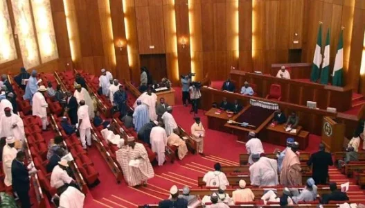 senate news.webp