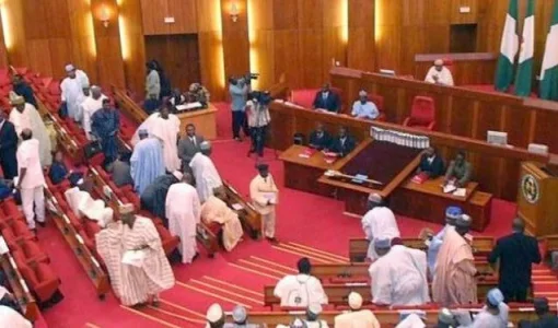 senat news.webp