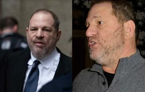 harvey.webp