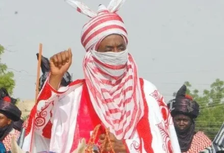emir.webp