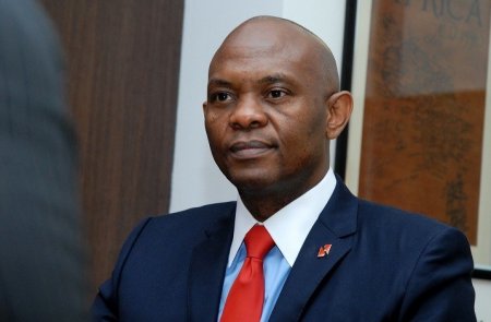 Tony Elumelu.jpg