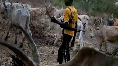 herdsmen.webp