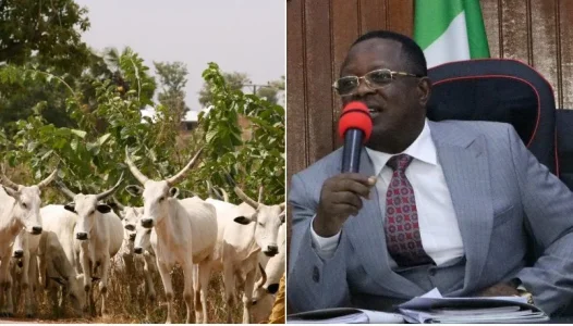umahi news.webp umahi news.webp