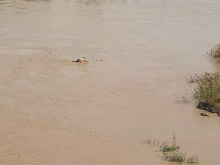 Suicidal-woman-rescued.jpg