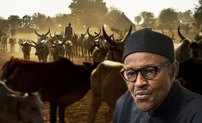 Buhari-and-herdsmen-1.jpg