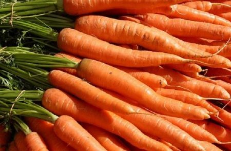 carrot.JPG