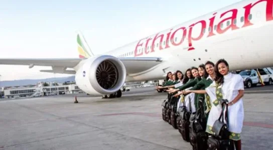 airline.webp airline.webp