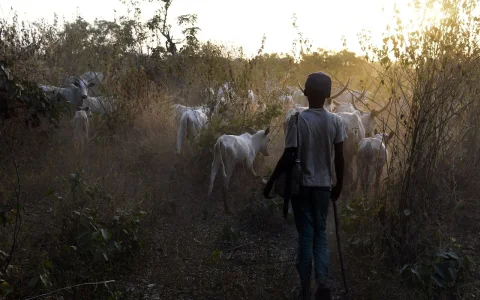 Herdsmen.webp