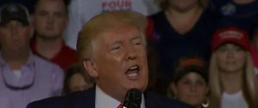 donald trump.webp