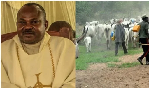 herdsmen news.webp