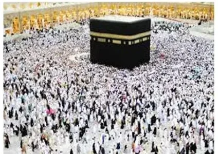 pilgrims.webp pilgrims.webp