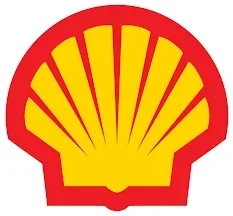 shell.webp