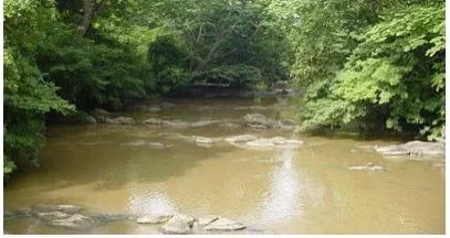 river.webp
