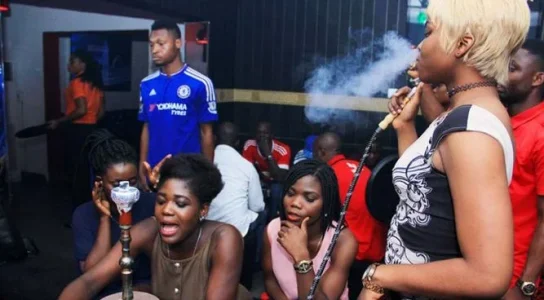 shisha.webp shisha.webp