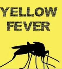 fever.webp