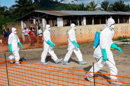 ebola-virus-promoimage-master495.jpg