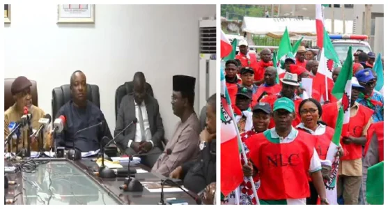 nGIGE-lABOUR.webp nGIGE-lABOUR.webp