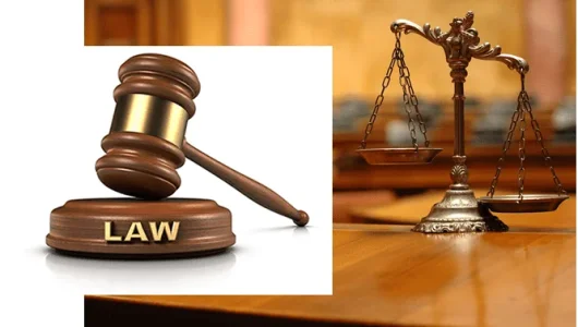 courts-law-legal-system-judiciary-.webp