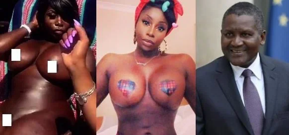 dangote.webp dangote.webp