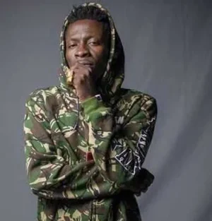shatta.webp