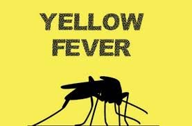 yellow fever.jpg