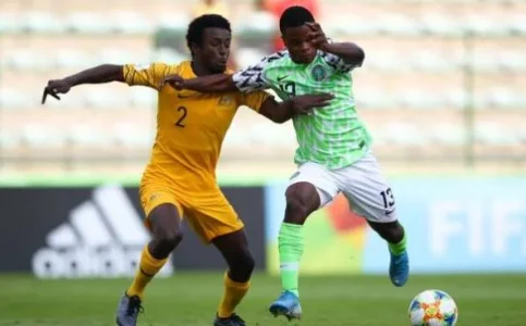golden eaglets.webp golden eaglets.webp