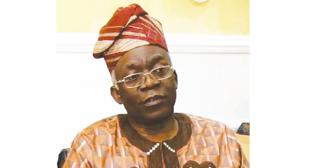 Femi-Falana.png