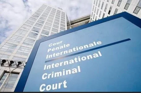 court.webp