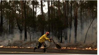 australia wild fire.webp australia wild fire.webp