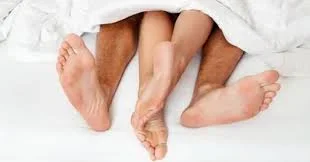 legs.webp