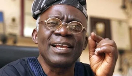 Femi-Falana.webp
