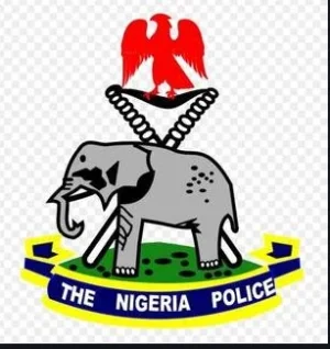 police nnn.webp