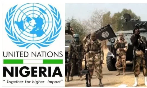 boko haram.webp