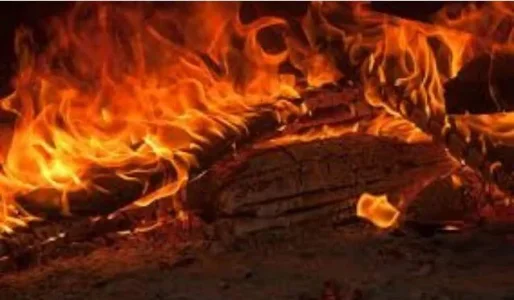 Fire.webp Fire.webp