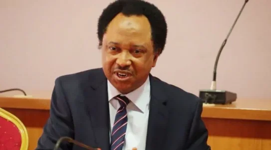 06832e64-shehu-sani-696x385.webp